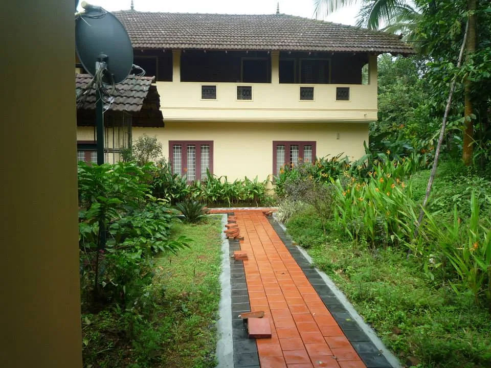 Treehouse and Bungalow Stays in Wayanad